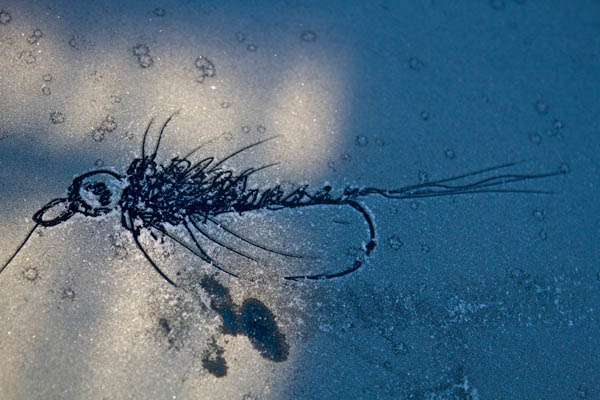 Highland Lodge Eastern Cape 28