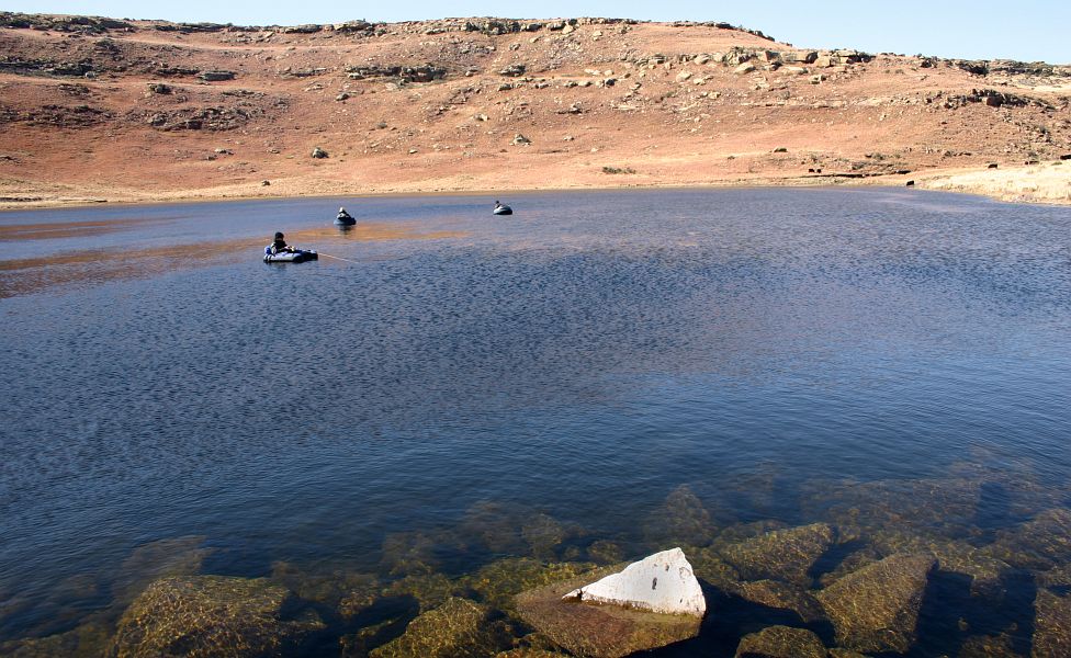 Highland_July_024_-1