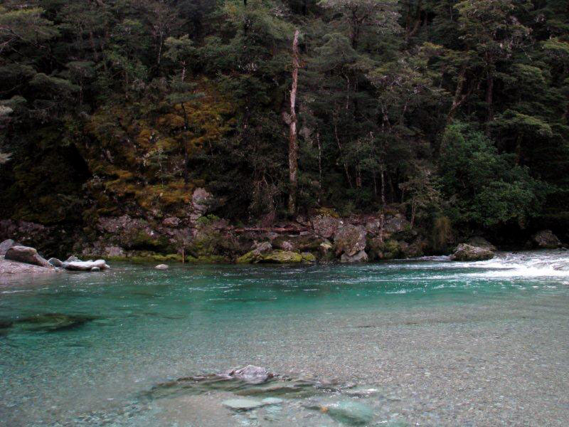 New_Zealand_south_island_fishing_5