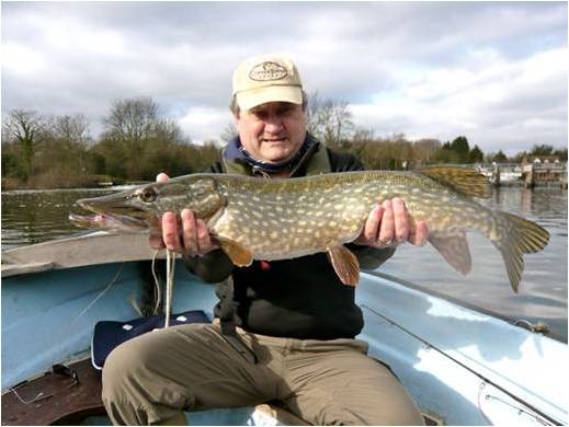 Pike1