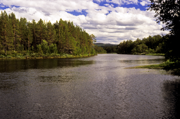 Testing_waters_for_the_Klinkhamer_Special